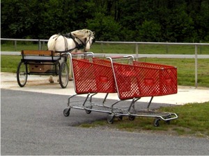 PonyCarts